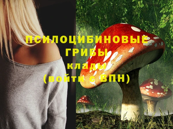 скорость Алексеевка