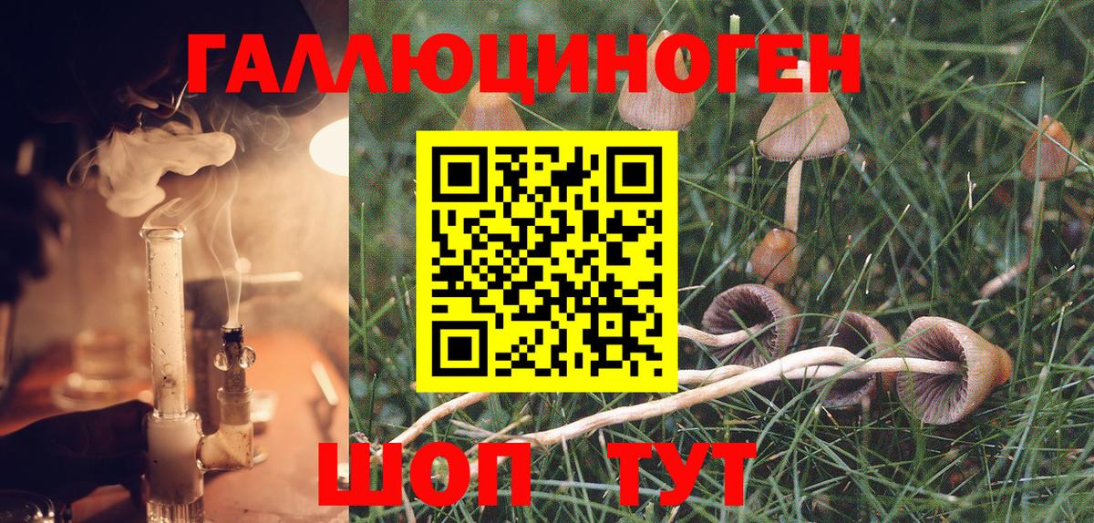 Сатка  Псилоцибиновые грибы Psilocybe  Вход с VPN 