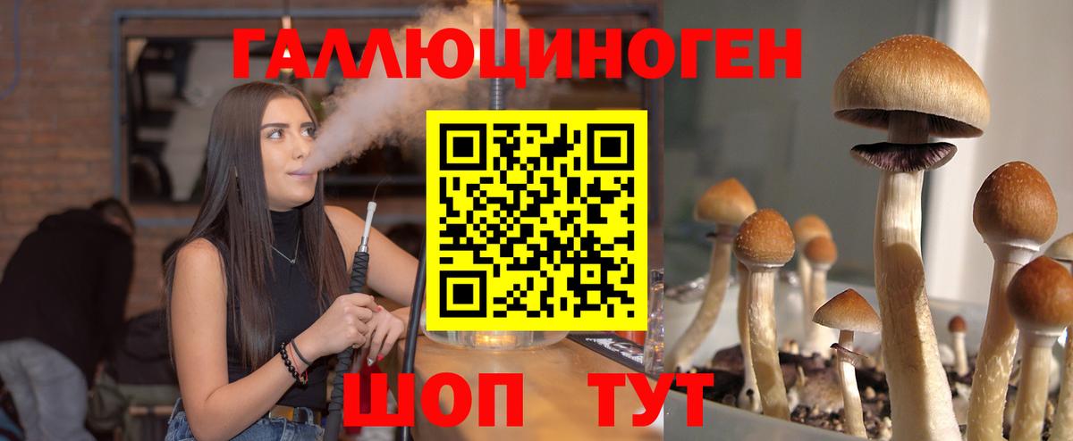 Галлюциногенные грибы MAGIC MUSHROOMS Сатка